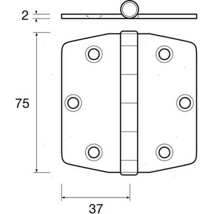 Cerniera in acciaio inox 75x74 mm